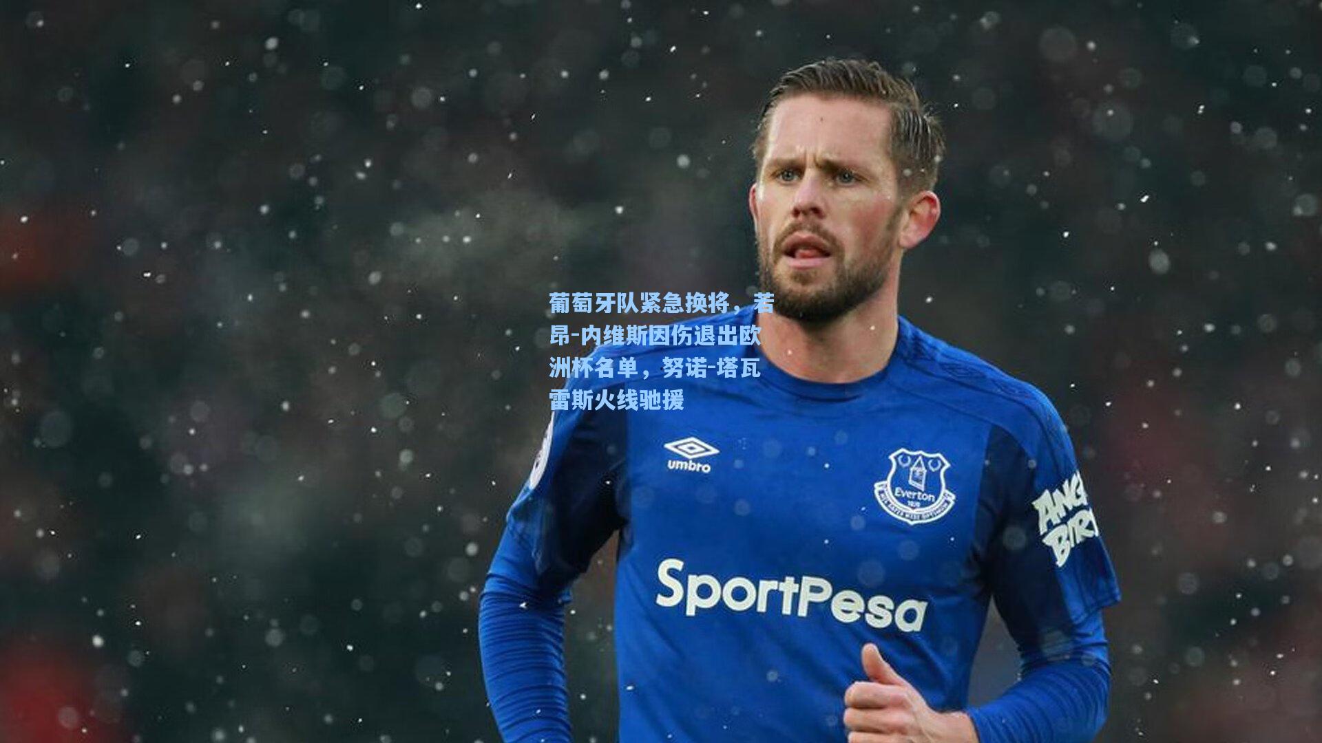 葡萄牙队紧急换将,若昂-内维斯因伤退出欧洲杯名单,努诺-塔瓦雷斯火线驰援